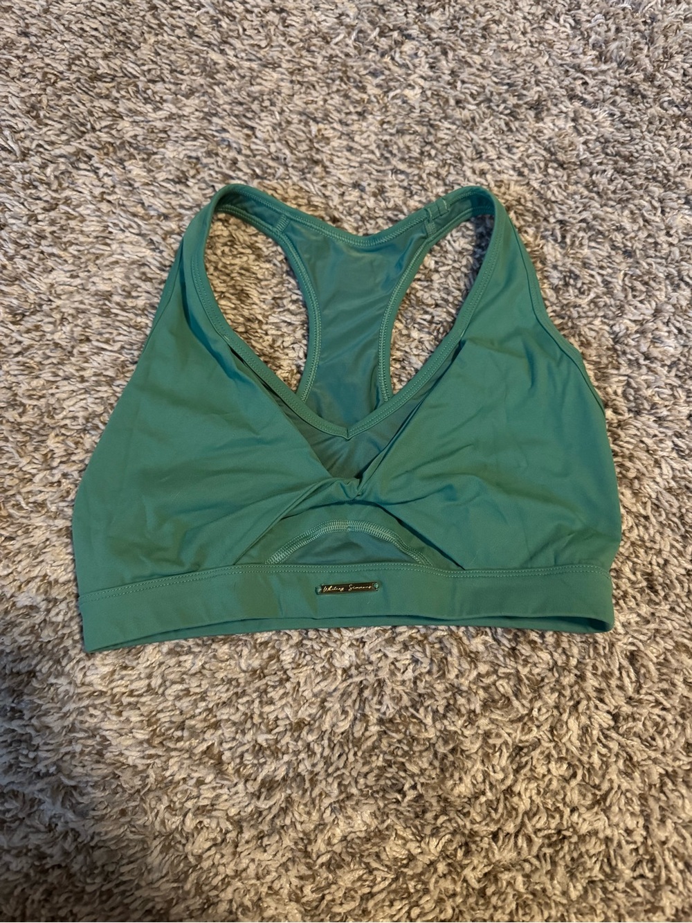 Gymshark x Whitney Simmons Sports bra